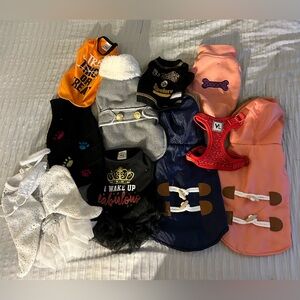 Tons of Small Dog Accessories